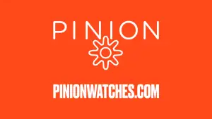 Pinion Neutron