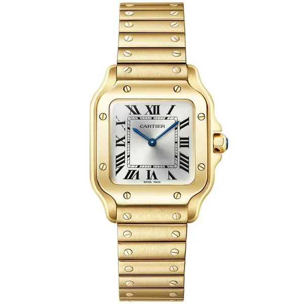 Cartier WGSA0107