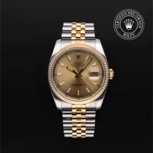 Rolex Rolex Datejust 116233 36mm Stainless steel Champagne, Price & Market Data