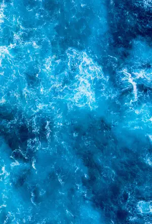 Seiko Prospex 1965 Heritage Diver