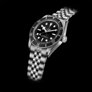 Tudor Black Bay 7941A1A0NU