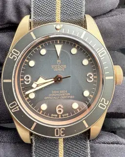 Tudor Tudor Black Bay 79250BA 43mm Bronze Gray