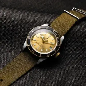 Tudor Tudor Black Bay 79733N-0006 41mm Yellow gold and Stainless steel Champagne