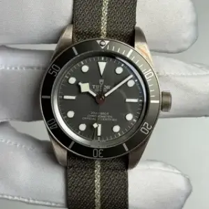 Tudor Tudor Black Bay M79010SG-0002 39mm Silver Gray