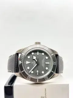 Tudor Tudor Black Bay 58 79010SG 39mm Silver Taupe