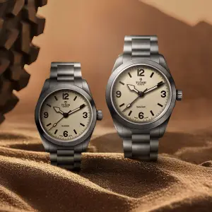 Tudor Ranger Dune