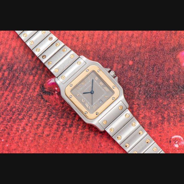 Cartier Cartier Santos