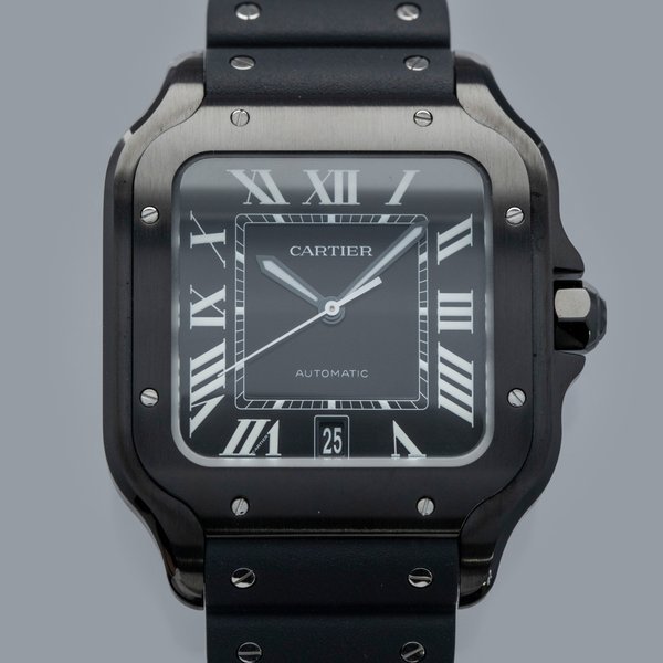 Cartier CARTIER SANTOS DE CARTIER WSSA0039 ADLC