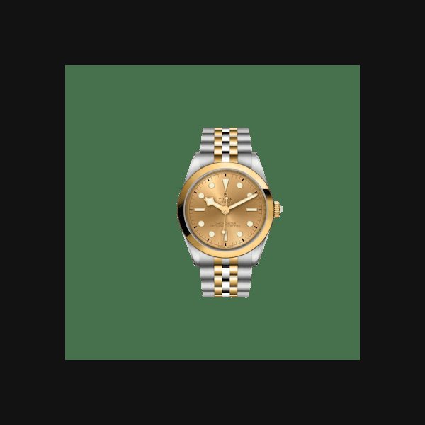 TUDOR Black Bay One 36 S&G