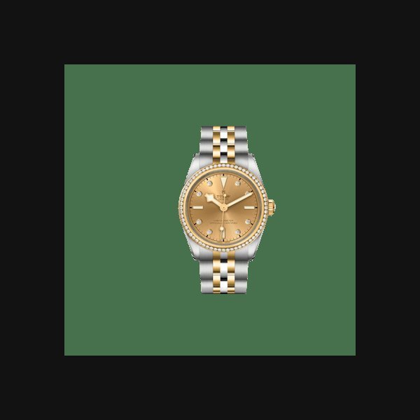 TUDOR Black Bay One 31 S&G