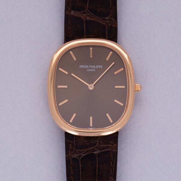 Patek Philippe Patek Philippe Golden Ellipse 3738/100R Brown Dial 18k RG