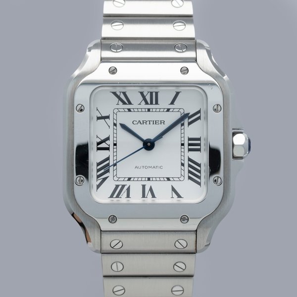 Cartier Cartier Santos De Cartier Automatic WSSA0029 Medium