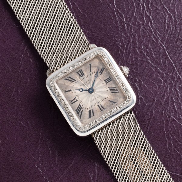 Cartier Cartier Santos Platinum
