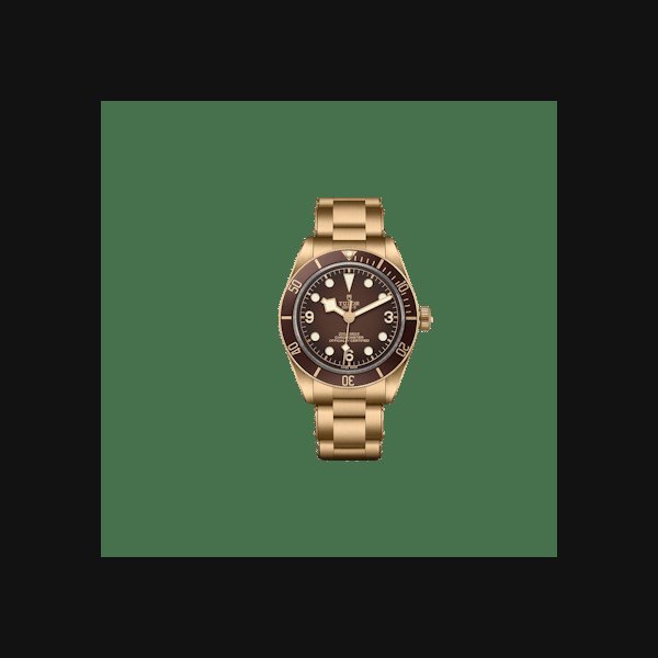 TUDOR Black Bay 58 Bronze Boutique Edition