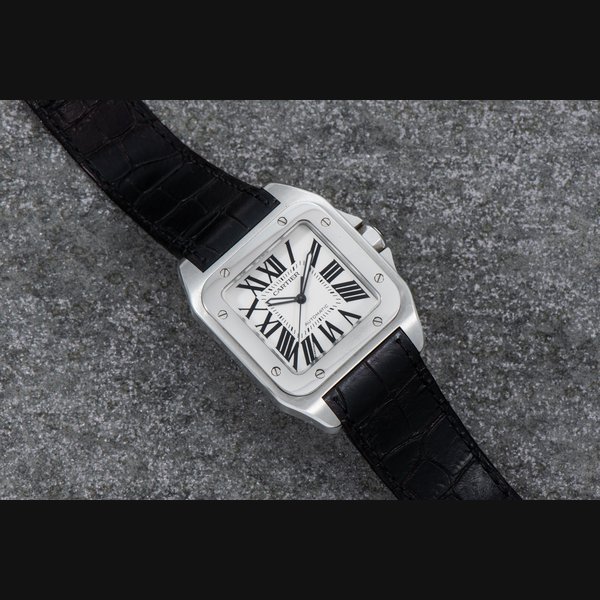 Cartier Cartier Santos 100
