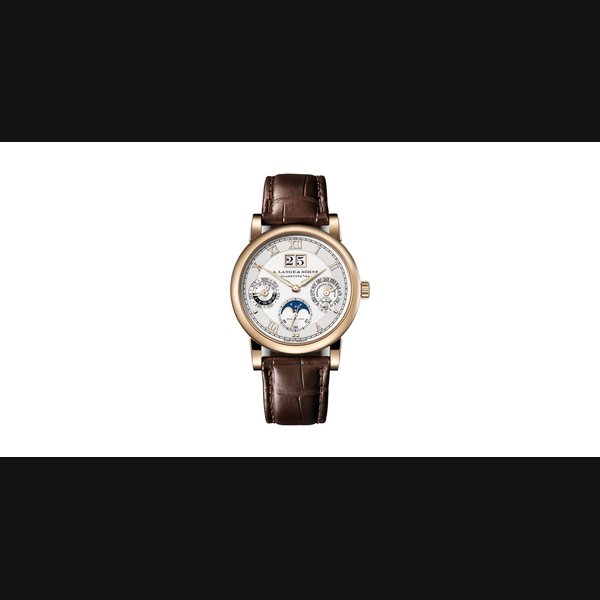 A. Lange & Sohne LANGEMATIK PERPETUAL - 310.050 | A. Lange & Söhne Ref. 310.050 E