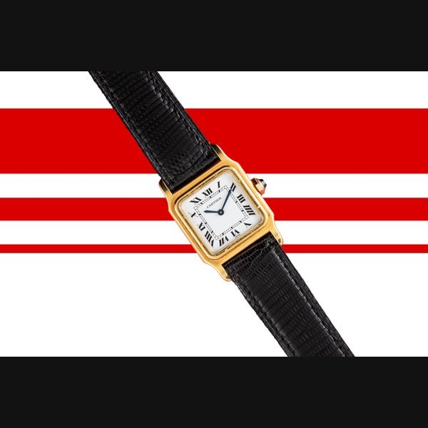 Cartier Cartier Santos Dumont Mechanique