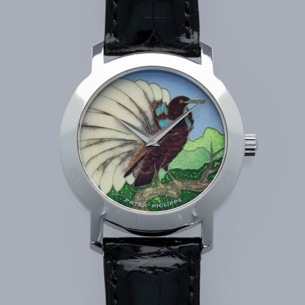 Patek Philippe Patek Philippe Calatrava 5075G-014 Cloisonne Enamel Birds of Paradise Seleucidis Melanoleuca 18k WG